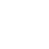 ecoflow w transp