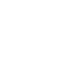 hollister w transp